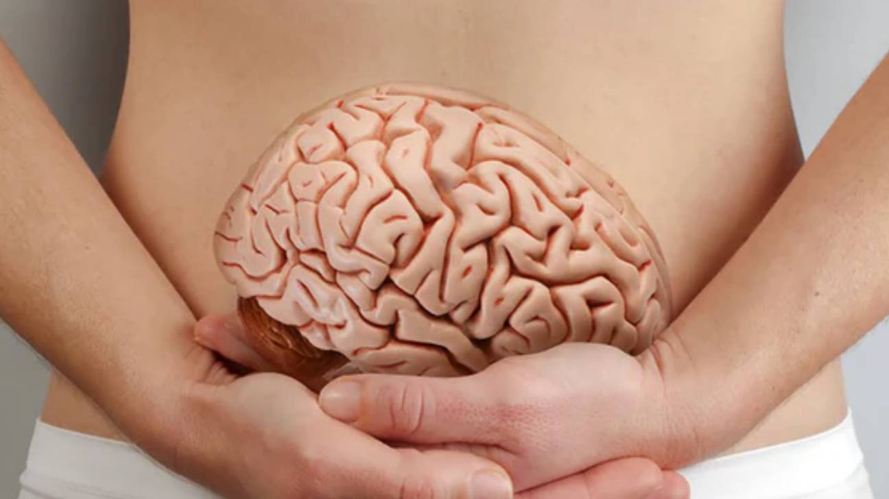 The Gut Connection: How Digestion Influences Mood and Energy